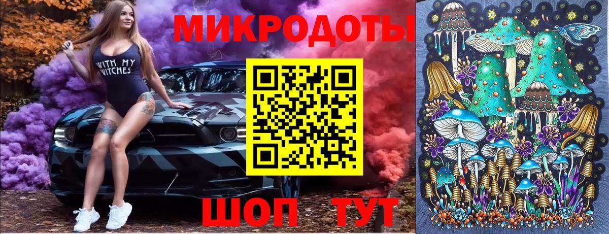 Псилоцибиновые грибы Cubensis Туапсе